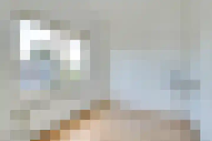Aurorastraat 14 Utrecht thumbnail 32