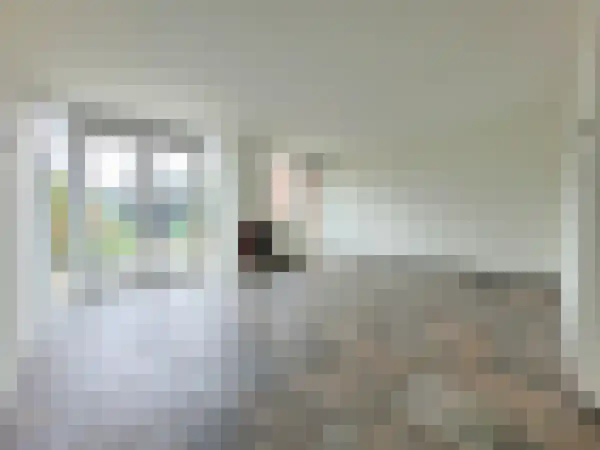 Aurorastraat 18 Eindhoven thumbnail 4