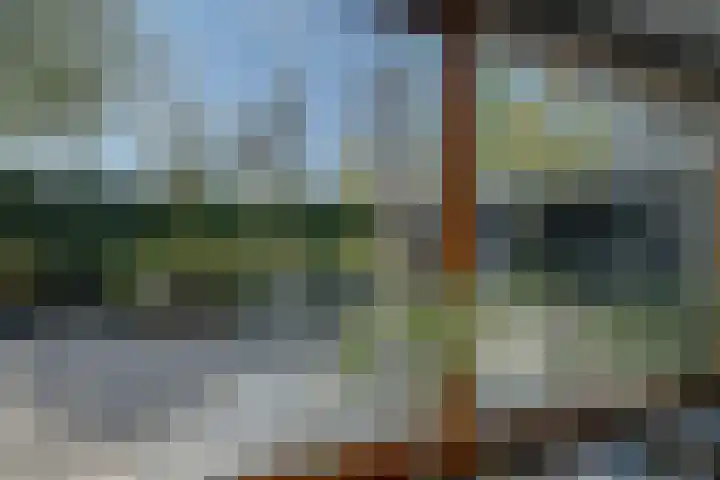 Aurorastraat 26 Almere thumbnail 10
