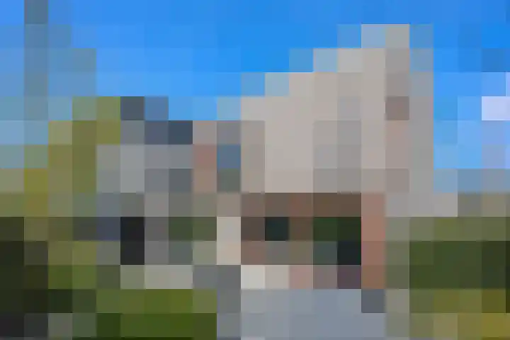 Aurorastraat 26 Almere thumbnail 34