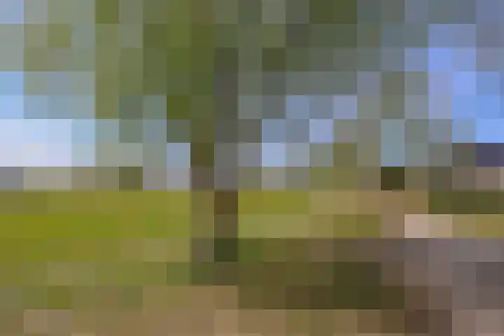 Aurorastraat 26 Almere thumbnail 44