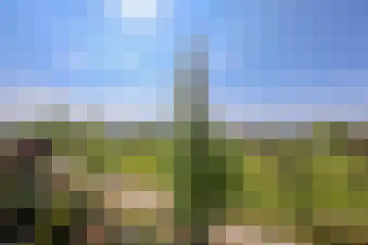 Aurorastraat 26 Almere thumbnail 47