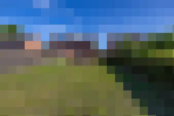Aurorastraat 31 Noordbroek thumbnail 7