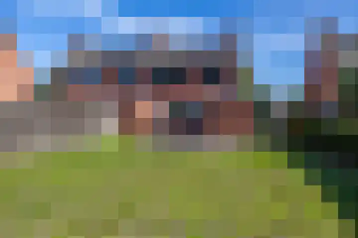 Aurorastraat 31 Noordbroek thumbnail 8