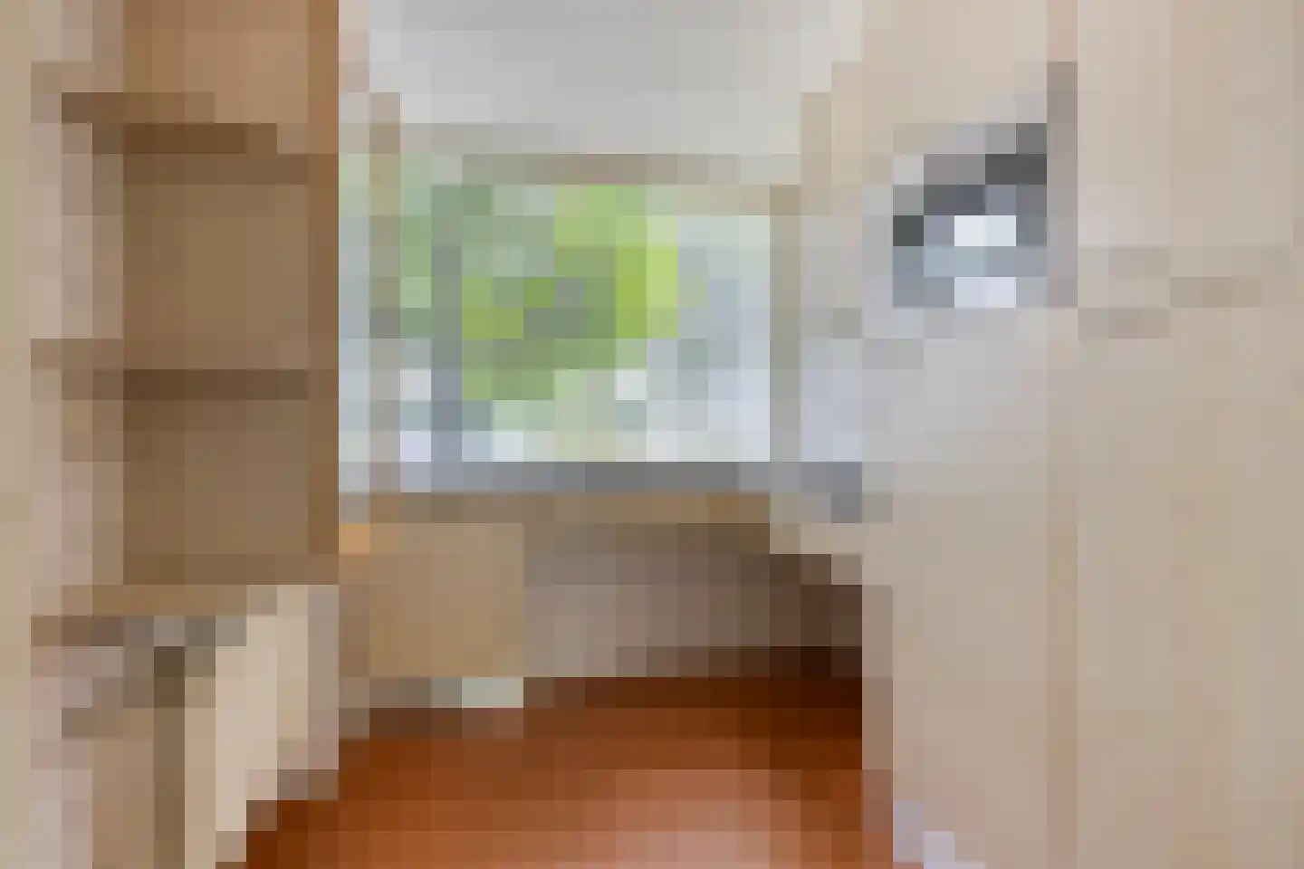 Aurorastraat 8 Eindhoven thumbnail 11