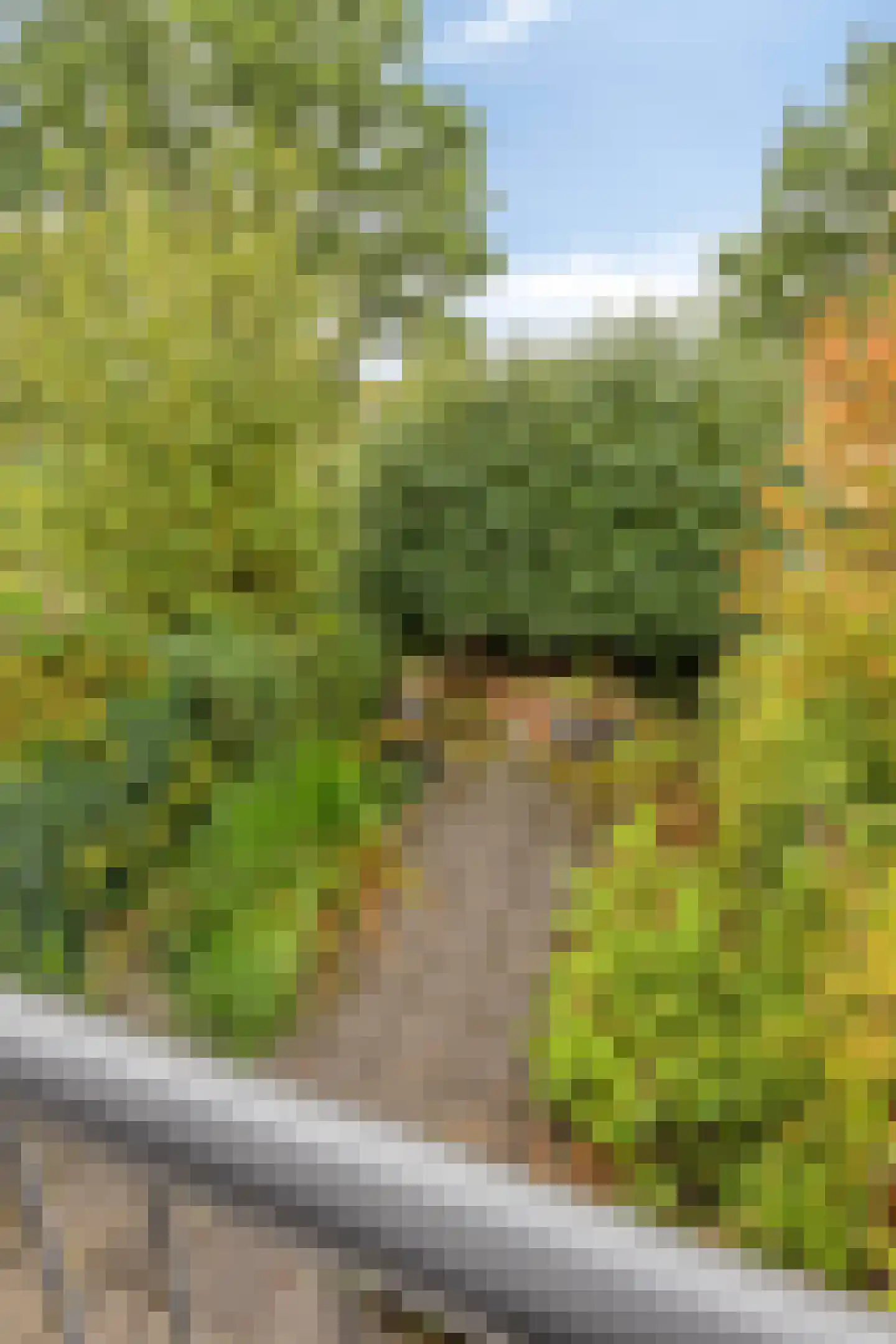Aurorastraat 8 Eindhoven thumbnail 23