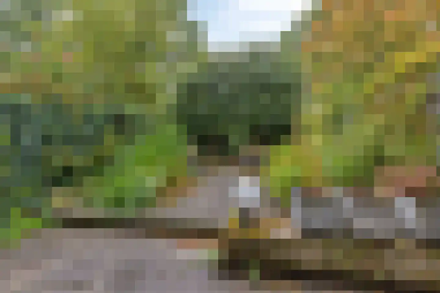 Aurorastraat 8 Eindhoven thumbnail 32