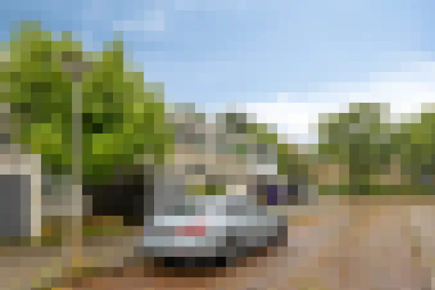 Aurorastraat 8 Eindhoven thumbnail 36