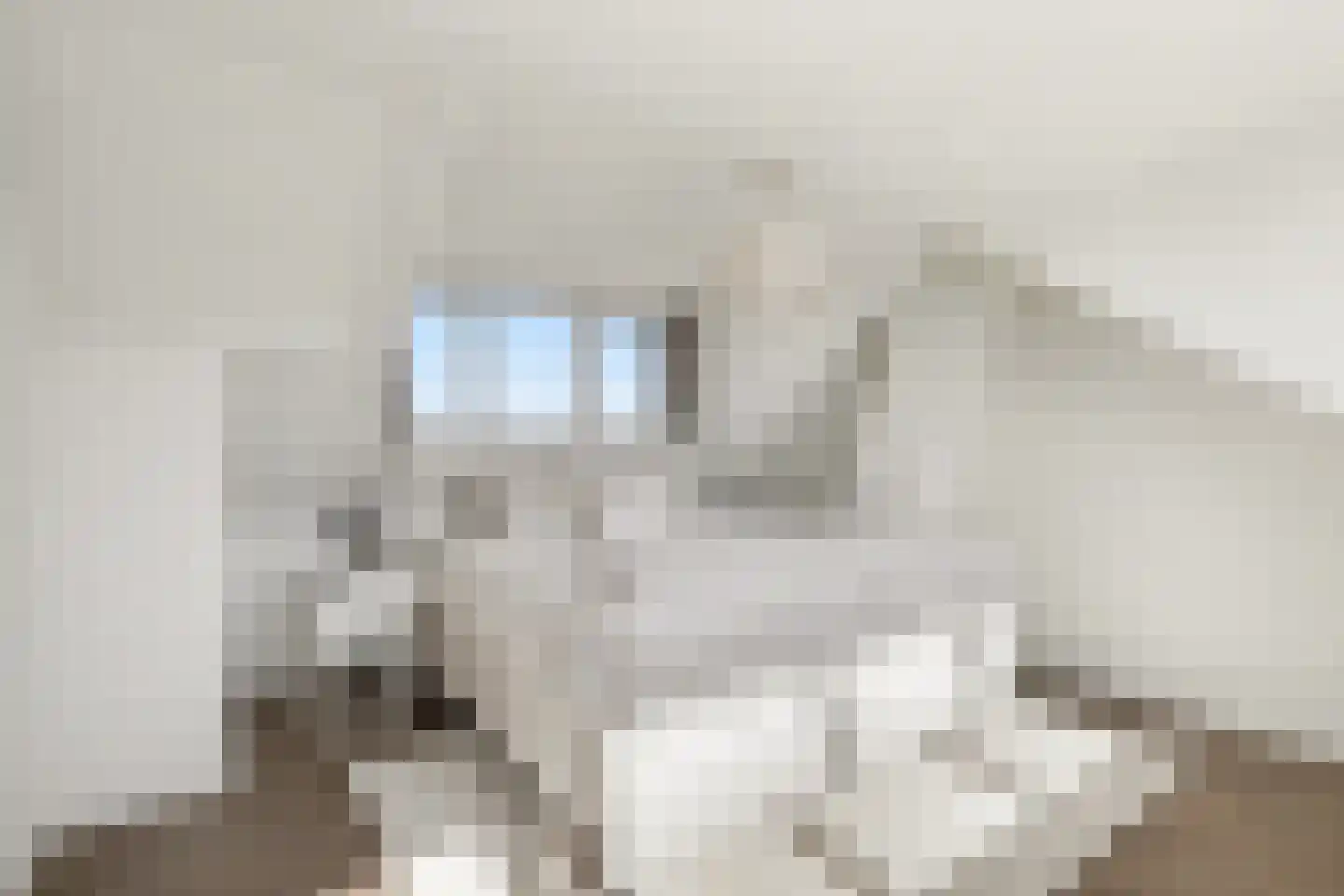 Aurorastraat 8 Oosterhout thumbnail 38