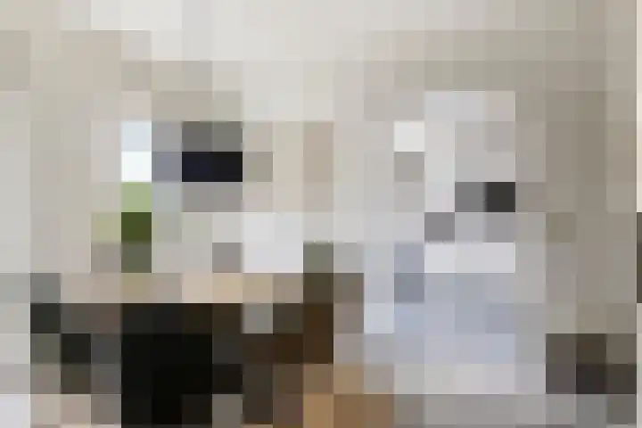Ausemsstraat 19 Driel thumbnail 13