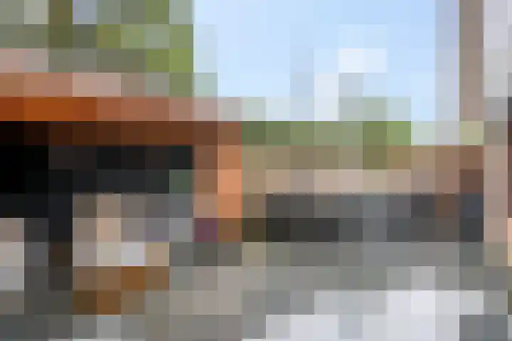 Ausemsstraat 19 Driel thumbnail 19