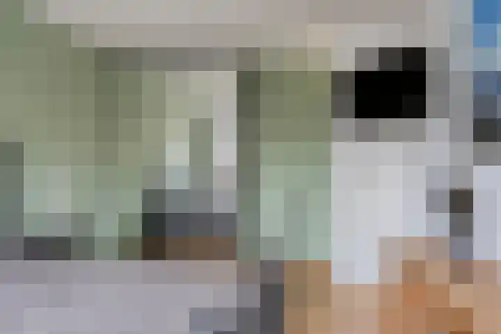 Ausemsstraat 19 Driel thumbnail 25