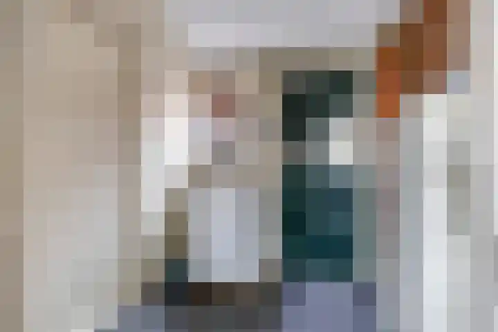 Ausemsstraat 19 Driel thumbnail 27