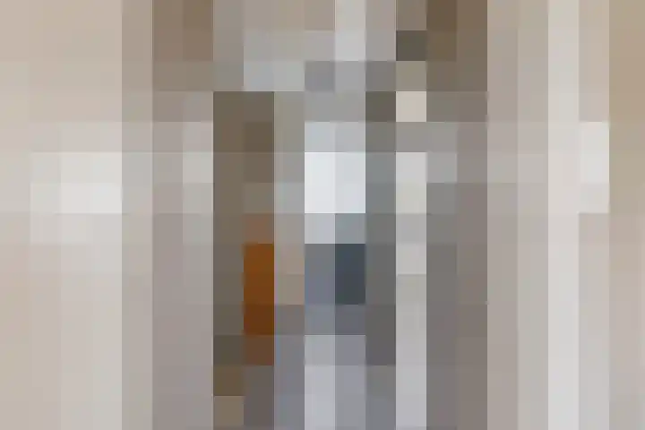 Ausemsstraat 19 Driel thumbnail 31