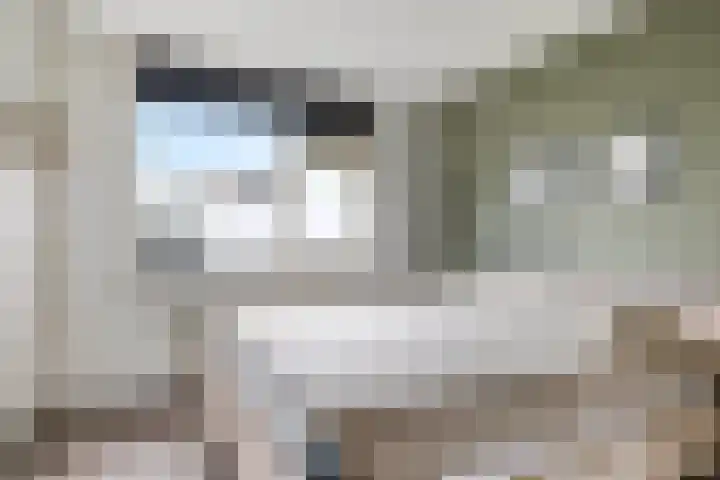 Ausemsstraat 19 Driel thumbnail 33