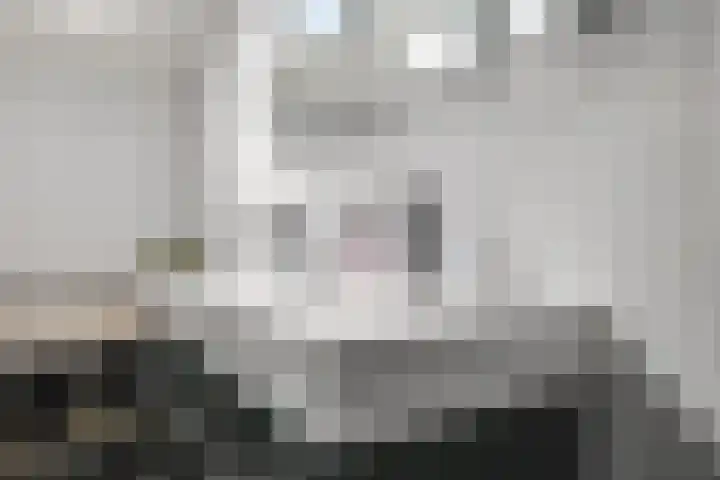 Ausemsstraat 19 Driel thumbnail 36