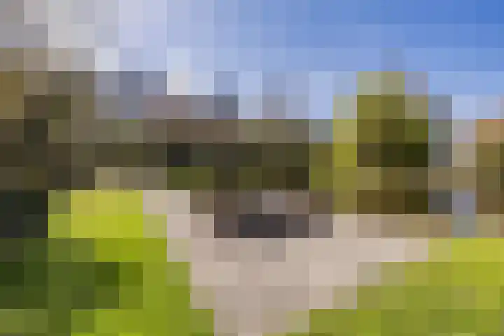 Ausemsstraat 19 Driel thumbnail 44