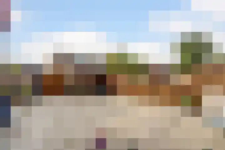 Ausemsstraat 19 Driel thumbnail 48