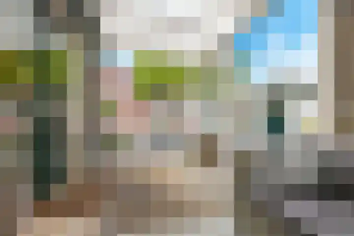Ausemsstraat 19 Driel thumbnail 5