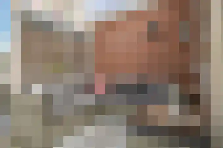 Ausemsstraat 19 Driel thumbnail 56