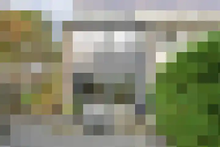 Auskamplanden 173 Enschede thumbnail 32