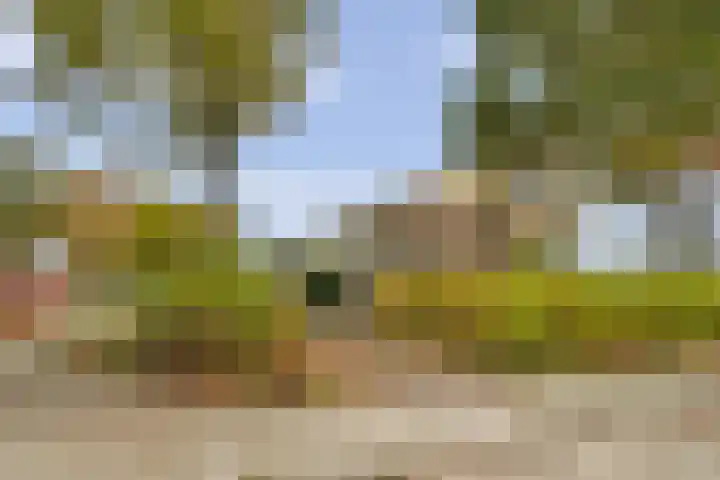 Auskamplanden 173 Enschede thumbnail 36