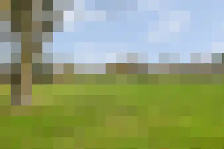Auskamplanden 173 Enschede thumbnail 37