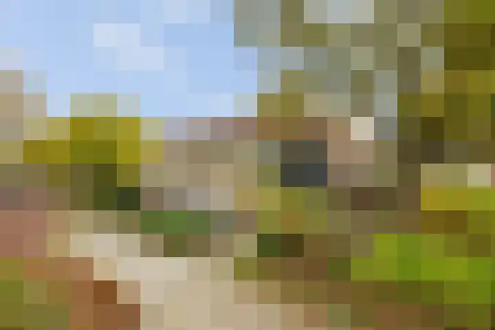 Auskamplanden 173 Enschede thumbnail 4