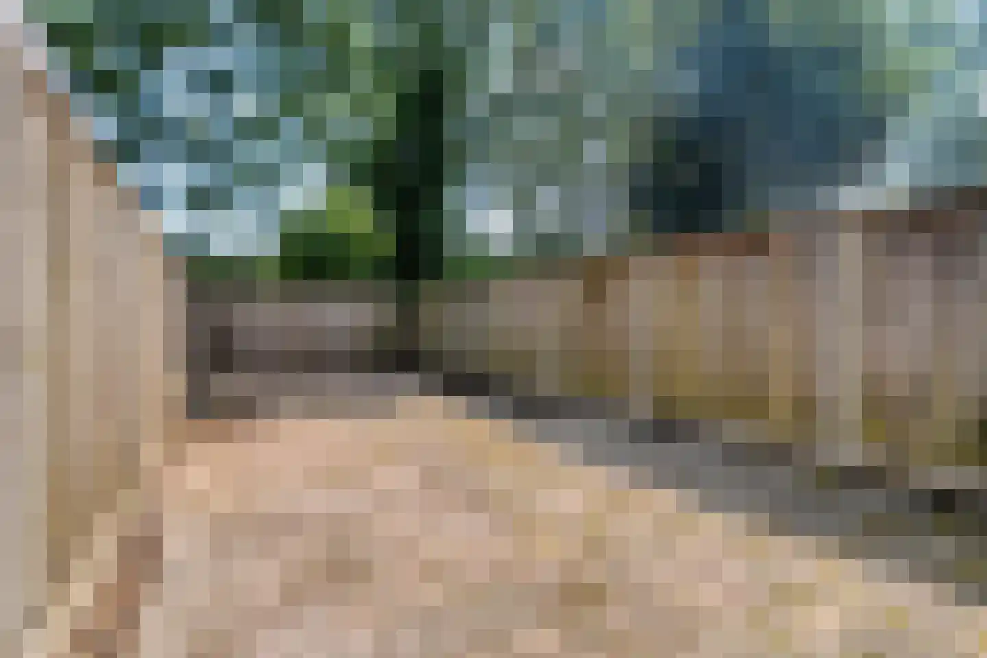 Auskamplanden 217 Enschede thumbnail 34