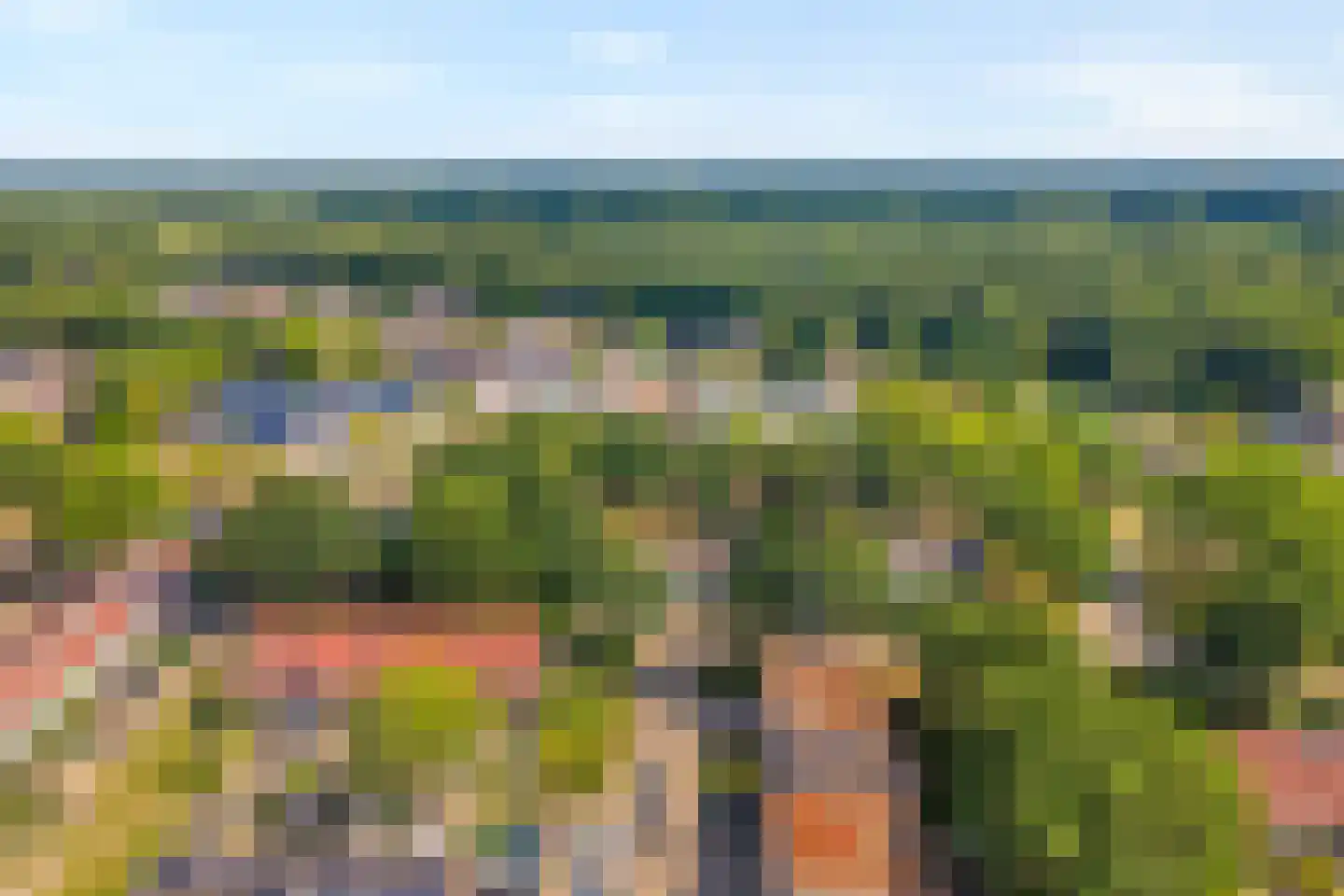 Auskamplanden 217 Enschede thumbnail 45