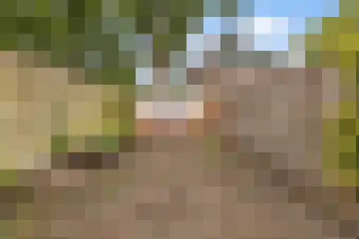 Auskamplanden 69 Enschede thumbnail 32