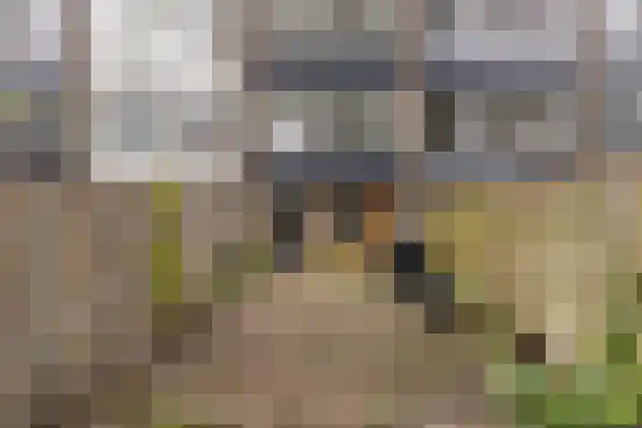 Auskamplanden 69 Enschede thumbnail 33