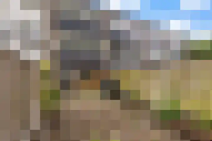 Auskamplanden 69 Enschede thumbnail 34