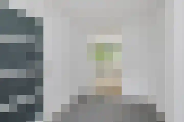 Auskamplanden 69 Enschede thumbnail 9