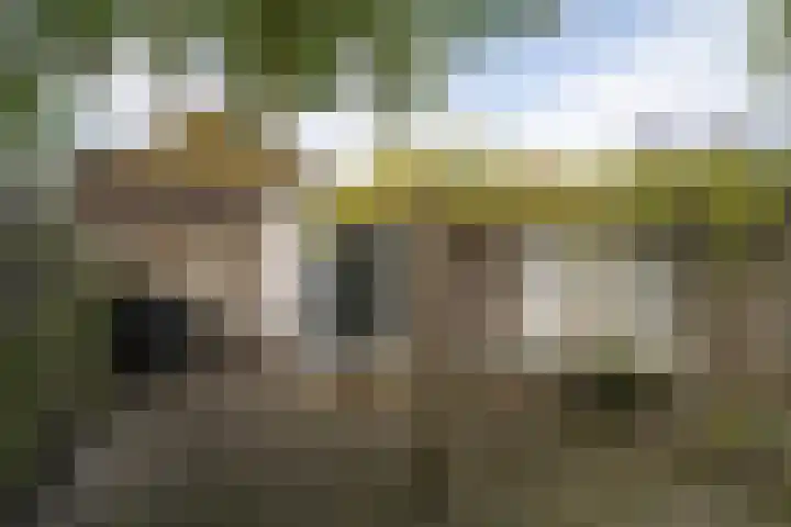 Auskamplanden 78 Enschede thumbnail 19