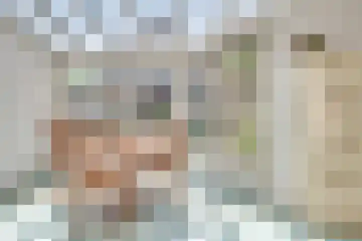Australiëlaan 14 Son en Breugel thumbnail 14