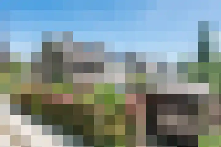 Australiëlaan 14 Son en Breugel foto 2