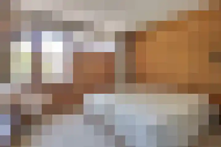 Australiëlaan 14 Son en Breugel thumbnail 21