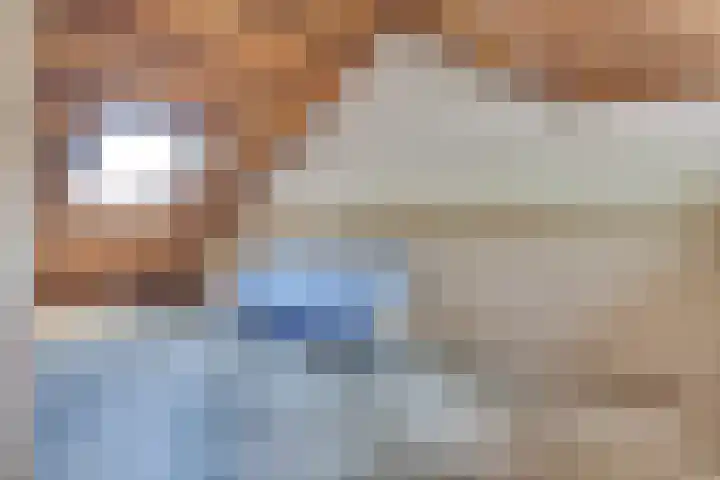 Australiëlaan 14 Son en Breugel thumbnail 25