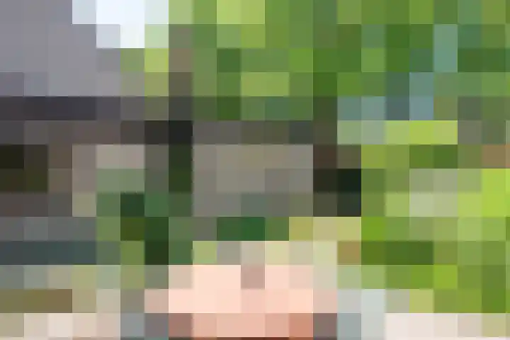 Australiëlaan 14 Son en Breugel thumbnail 29