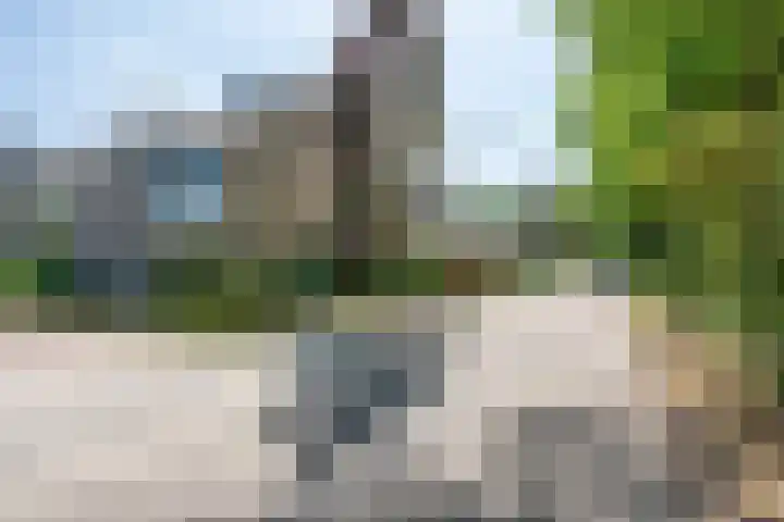 Australiëlaan 14 Son en Breugel thumbnail 4