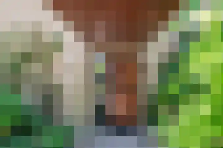 Australiëlaan 14 Son en Breugel thumbnail 5