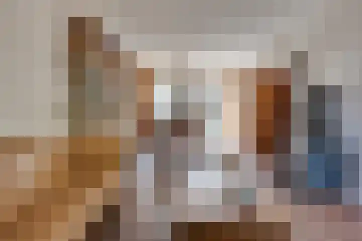 Australiëlaan 14 Son en Breugel thumbnail 8