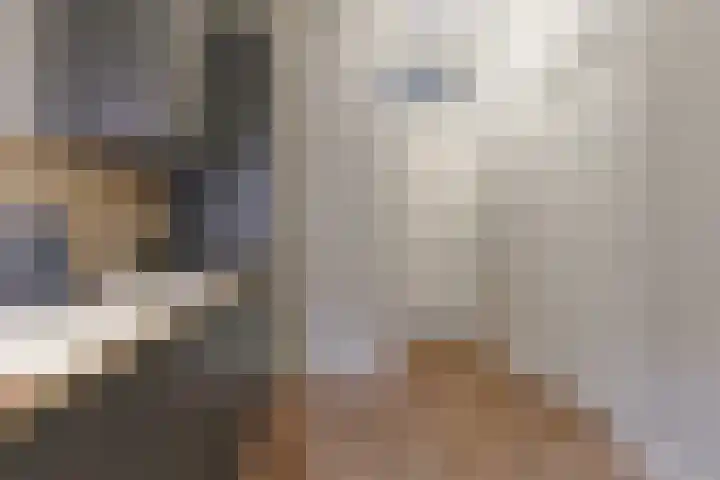 Australiëlaan 29 Alphen aan den Rijn thumbnail 16