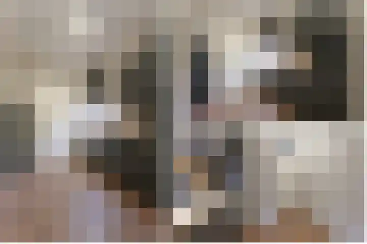 Australiëlaan 29 Alphen aan den Rijn thumbnail 17