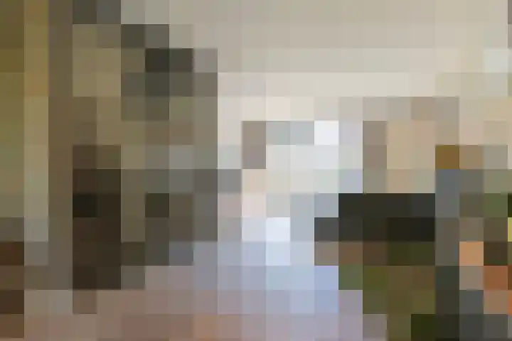 Australiëlaan 29 Alphen aan den Rijn thumbnail 18