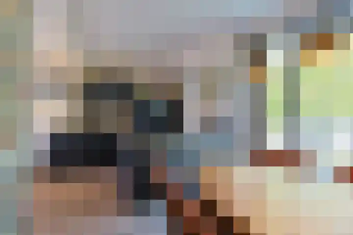 Australiëlaan 29 Alphen aan den Rijn thumbnail 30