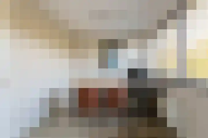 Australiëlaan 29 Alphen aan den Rijn thumbnail 33