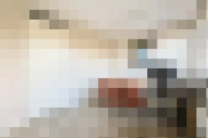 Australiëlaan 29 Alphen aan den Rijn thumbnail 34