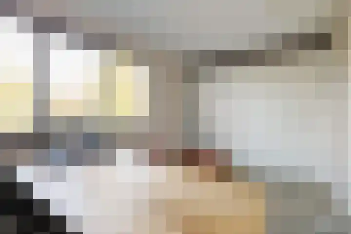 Australiëlaan 29 Alphen aan den Rijn thumbnail 35
